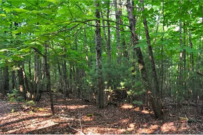 Tbd Highland Laurel Lane, Deep Gap, NC 28618 - Photo 2