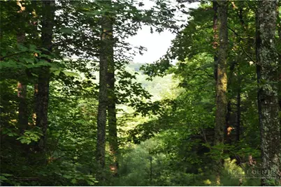 Tbd Highland Laurel Lane, Deep Gap, NC 28618 - Photo 16