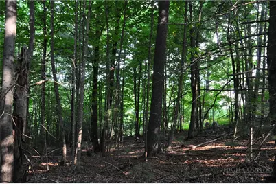 Tbd Highland Laurel Lane, Deep Gap, NC 28618 - Photo 12