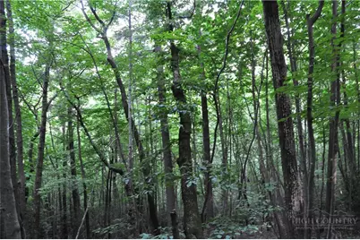 Tbd Highland Laurel Lane, Deep Gap, NC 28618 - Photo 24