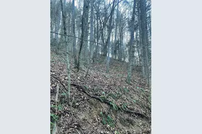 Tbd Mountain Side Lane, Crumpler, NC 28617 - Photo 2