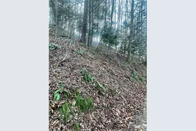 Tbd Mountain Side Lane, Crumpler, NC 28617 - Photo 6