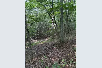 Tbd Starlite Drive, Crumpler, NC 28617 - Photo 2