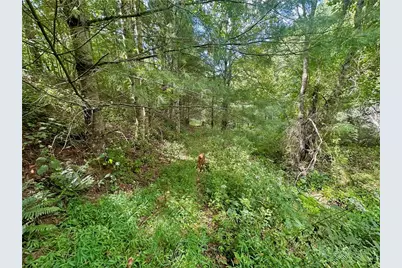 Tbd Old Anderson Quarry Road, Vilas, NC 28692 - Photo 18