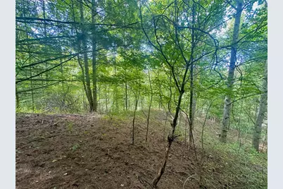 Tbd Old Anderson Quarry Road, Vilas, NC 28692 - Photo 16