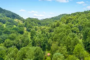 Tbd Bethel Rd, Sugar Grove, NC 28679 - Photo 1