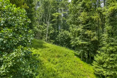 Tbd Bethel Road, Sugar Grove, NC 28679 - Photo 6
