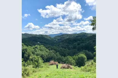 866 Georges Gap Road, Vilas, NC 28692 - Photo 20