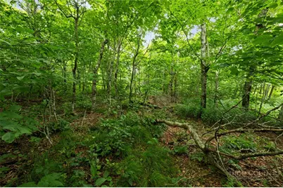 Lot 96 Cloud Spring Drive, Sugar Mountain, NC 28604 - Photo 6