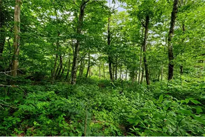 Lot 96 Cloud Spring Drive, Sugar Mountain, NC 28604 - Photo 10