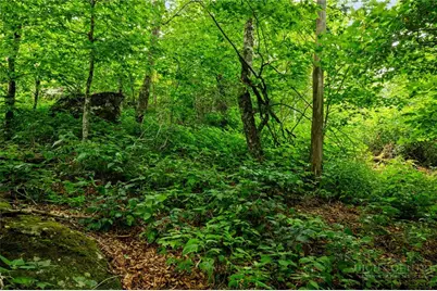 Lot 96 Cloud Spring Drive, Sugar Mountain, NC 28604 - Photo 12