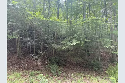 Lot 1 Skye Ridge Drive, West Jefferson, NC 28694 - Photo 6