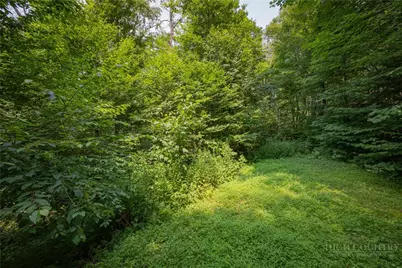 Lot 24 Linville River Drive, Linville, NC 28646 - Photo 16