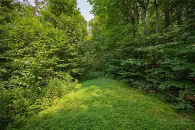 Lot 24 Linville River Drive, Linville, NC 28646 - Photo 1
