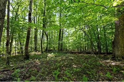 Lot 342 & 343 Twin Rivers Drive, Boone, NC 28607 - Photo 2