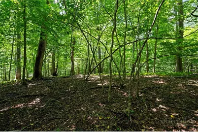 Lot 342 & 343 Twin Rivers Drive, Boone, NC 28607 - Photo 10