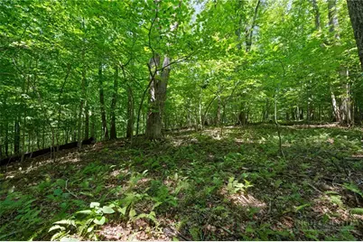 Lot 342 & 343 Twin Rivers Drive, Boone, NC 28607 - Photo 12