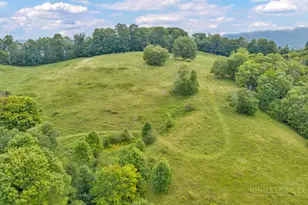 Tbd Vaughn Potter Rd, Zionville, NC 28698 - Photo 1