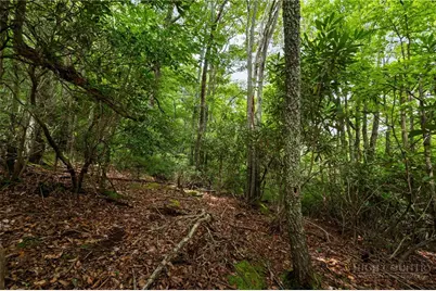 Lot 2 Heavenly Mountain Drive, Boone, NC 28607 - Photo 4