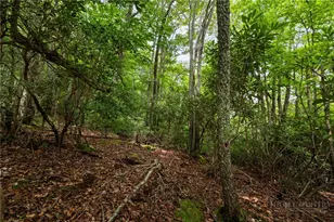 Lot 2 Heavenly Mountain Dr, Boone, NC 28607 - Photo 1