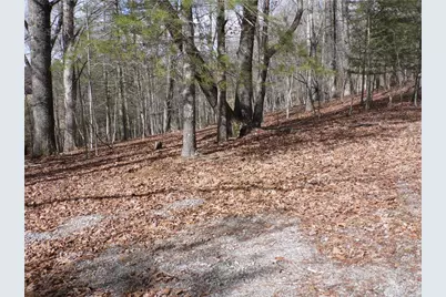 Tbd Happy Woods Drive, Piney Creek, NC 28631 - Photo 8