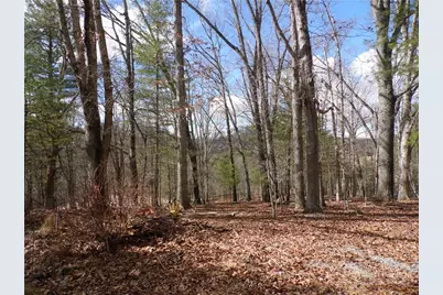 Tbd Happy Woods Drive, Piney Creek, NC 28631 - Photo 1