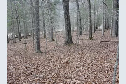 Tbd Happy Woods Drive, Piney Creek, NC 28631 - Photo 20