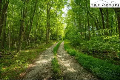 Tbd Hattie Hill Road, Vilas, NC 28692 - Photo 20