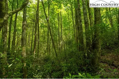 Tbd Hattie Hill Road, Vilas, NC 28692 - Photo 18