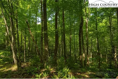 Tbd Hattie Hill Road, Vilas, NC 28692 - Photo 14