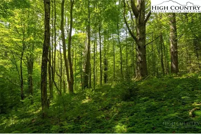 Tbd Hattie Hill Road, Vilas, NC 28692 - Photo 16