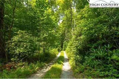Tbd Hattie Hill Road, Vilas, NC 28692 - Photo 12