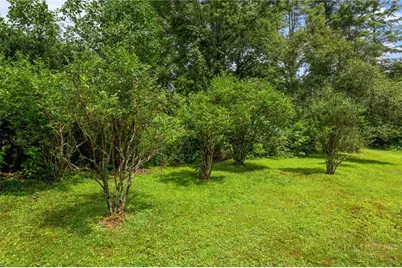410 Don Hayes Road, Boone, NC 28607 - Photo 46