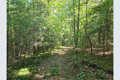 700 Nelson Lane, Millers Creek, NC 28651 - Photo 42