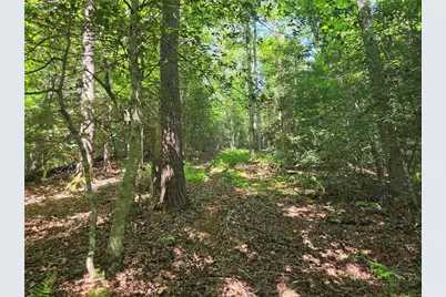 700 Nelson Lane, Millers Creek, NC 28651 - Photo 22