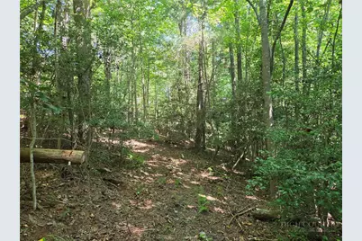 700 Nelson Lane, Millers Creek, NC 28651 - Photo 20
