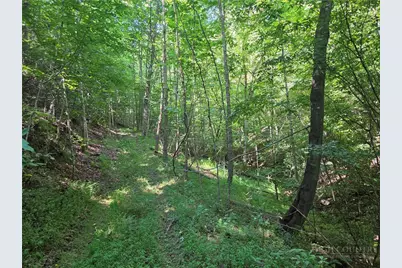 700 Nelson Lane, Millers Creek, NC 28651 - Photo 28