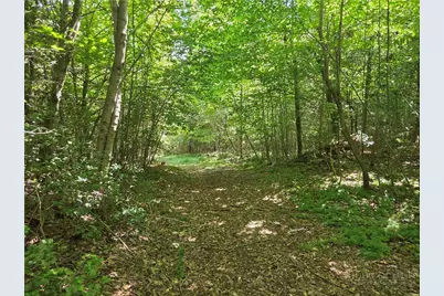 700 Nelson Lane, Millers Creek, NC 28651 - Photo 44