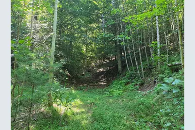 700 Nelson Lane, Millers Creek, NC 28651 - Photo 26
