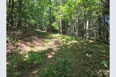700 Nelson Lane, Millers Creek, NC 28651 - Photo 38