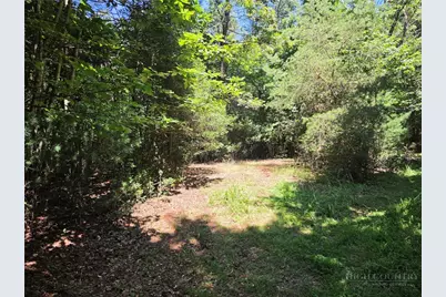 700 Nelson Lane, Millers Creek, NC 28651 - Photo 48