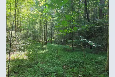 700 Nelson Lane, Millers Creek, NC 28651 - Photo 24