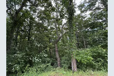 Tbd Quail Ridge Court, Fleetwood, NC 28626 - Photo 4