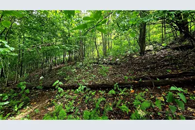 Lot 6 Boone Ridge Lane, Boone, NC 28607 - Photo 10