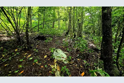 Lot 6 Boone Ridge Lane, Boone, NC 28607 - Photo 4
