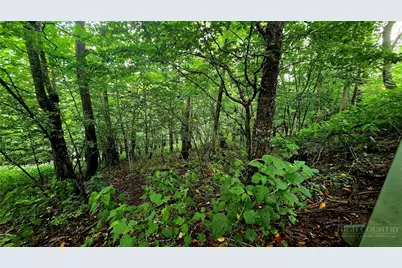Lot 6 Boone Ridge Lane, Boone, NC 28607 - Photo 8