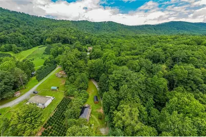 2601 Mountain Dale Road, Vilas, NC 28692 - Photo 50