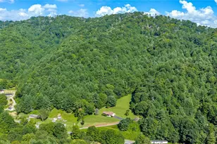 420 Roaring Fork Rd, Creston, NC 28615 - Photo 44