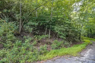 101 Chipmunk Ln, Beech Mountain, NC 28604 - Photo 1