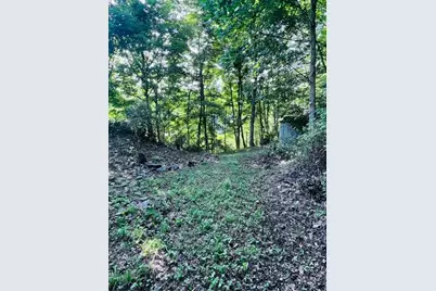 4174 4174 Big Horse Creek Road, Lansing, NC 28643 - Photo 28